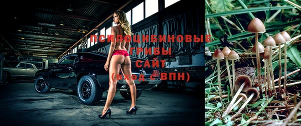 прущие крисы Армянск