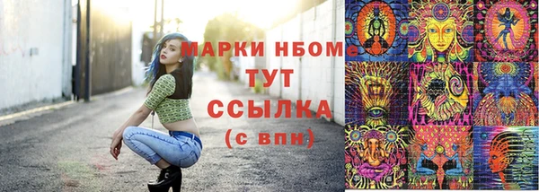 a pvp Аркадак