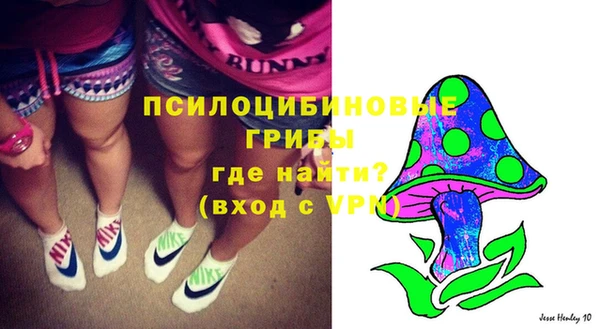 тгк Арсеньев